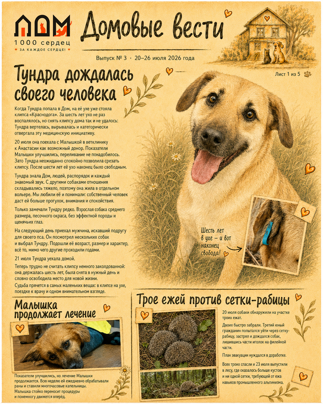 Обложка Домовых вестей №3